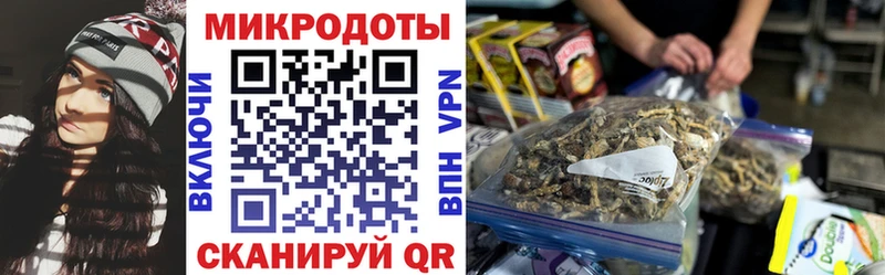 Купить  Моздок  Галлюциногенные грибы Cubensis 